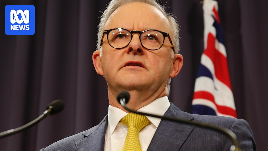 Anthony Albanese says Australia will not be pushed over timing of decision on Palestinian statehood