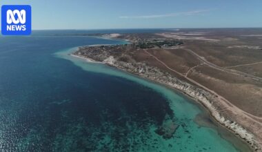 Tourists warned of 'unsafe' Coral Bay Road after man killed in crash