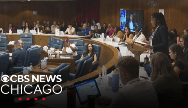 Cook County Board hearing addresses crisis of domestic violence