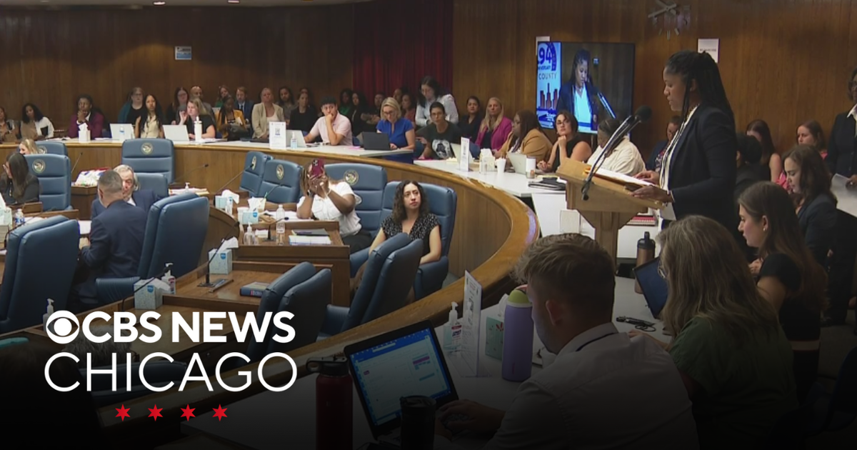 Cook County Board hearing addresses crisis of domestic violence