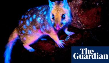 Beaker Street Science Photography prize – in pictures | Science