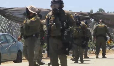 Over 300 arrested in immigration raids at California farms – NBC Los Angeles