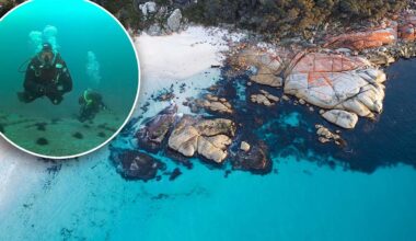 Devastating change taking place at Australia's 'best beach': '20 million of them'