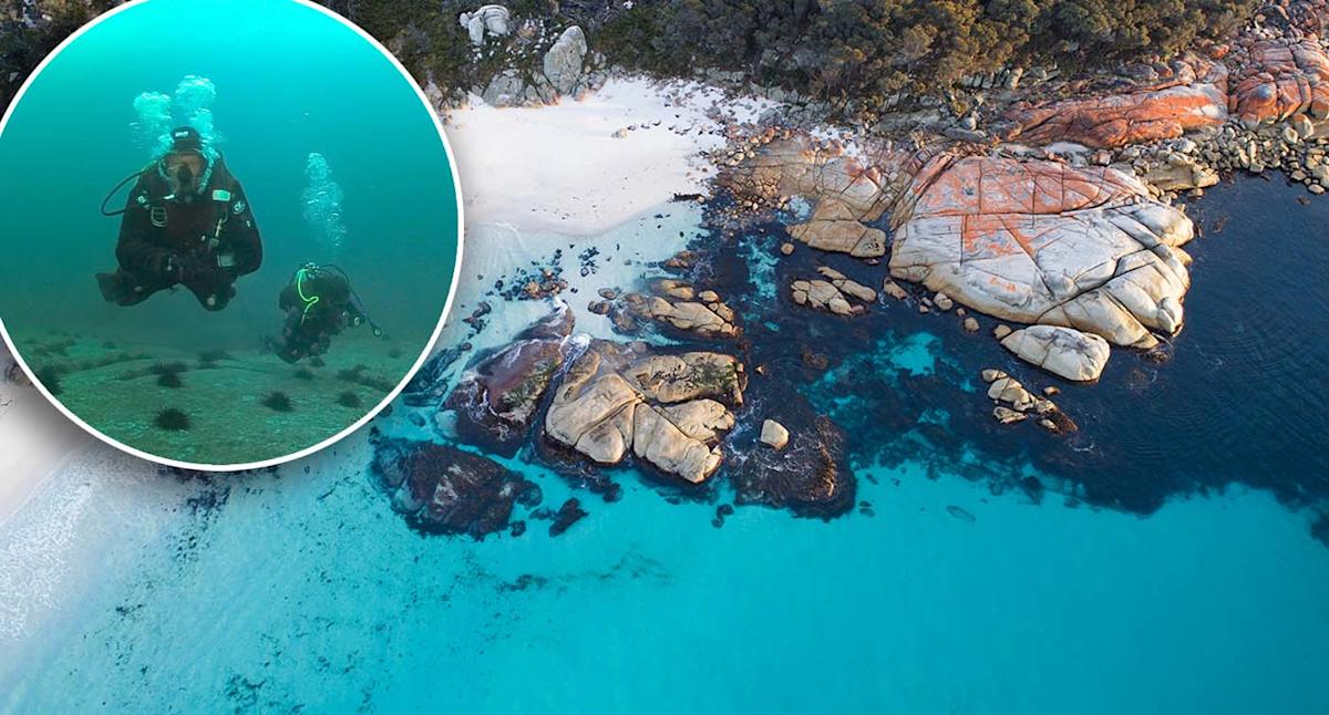Devastating change taking place at Australia's 'best beach': '20 million of them'