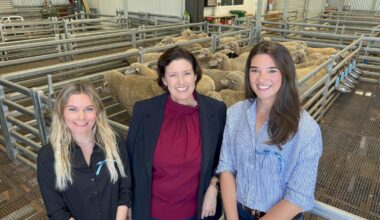 WA sheep feed efficiency and methane emissions project update delivered at New Zealand conference
