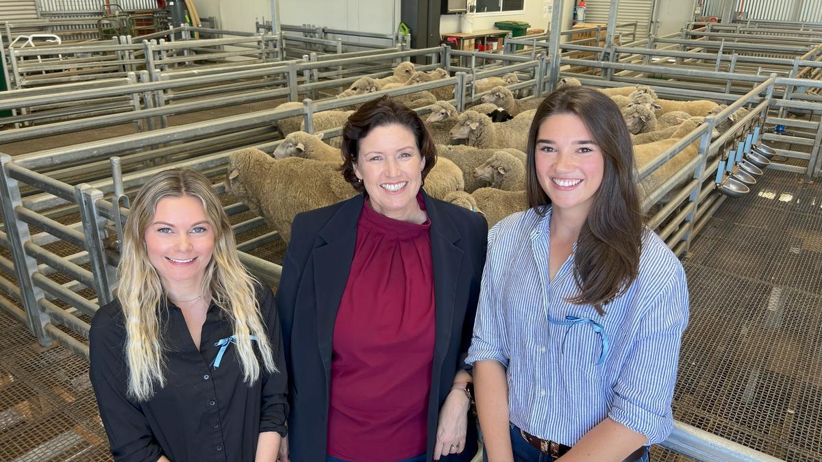 WA sheep feed efficiency and methane emissions project update delivered at New Zealand conference