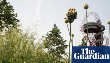 Half of UK councils still use pesticides in public places, research finds | Pesticides