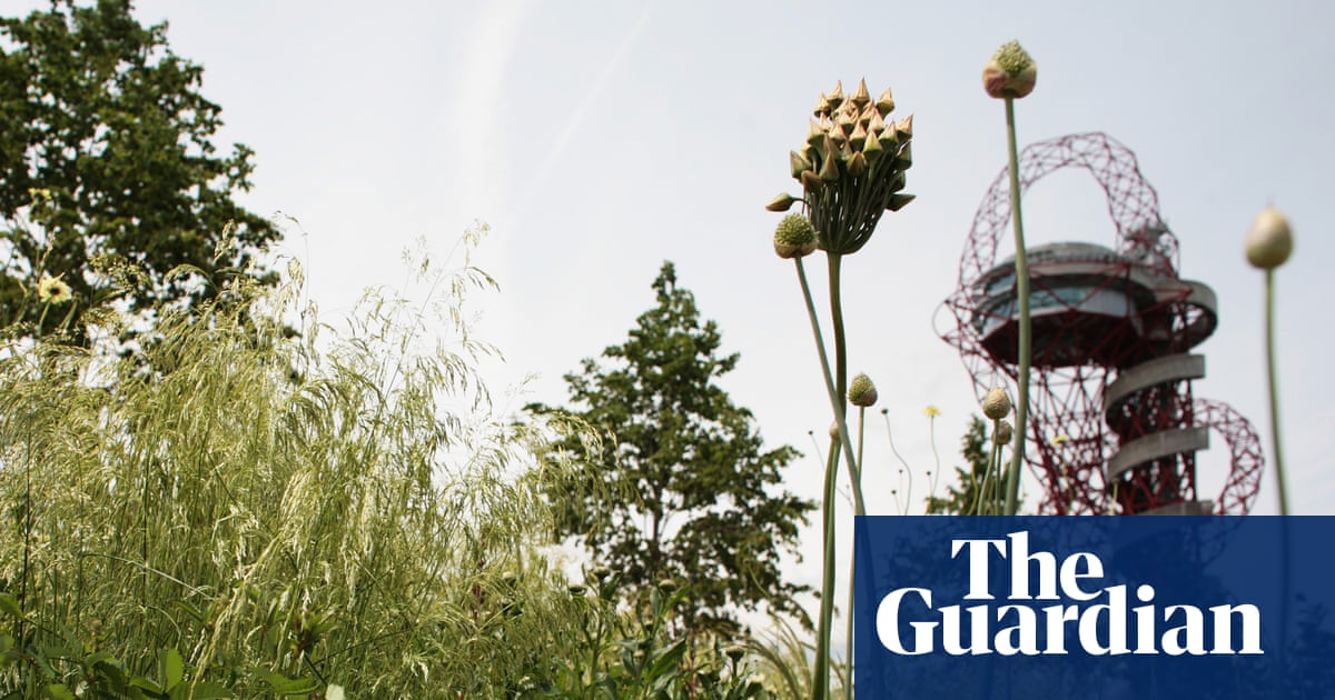 Half of UK councils still use pesticides in public places, research finds | Pesticides