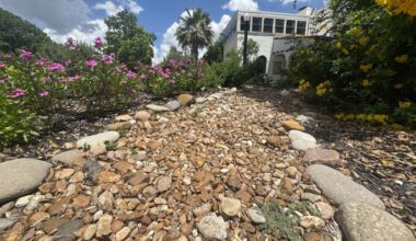 Xeriscaping involves the use of space and multiple components like rocks, gravel and plant placement. (Parks Kugle/Community Impact)