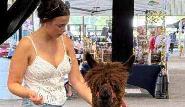 woman petting llama