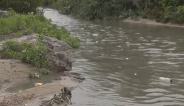 Survey reveals South Bay community’s concerns over sewage crisis – NBC 7 San Diego