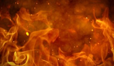 Dog killed, two people taken to hospital after boat fire in Jacksonville