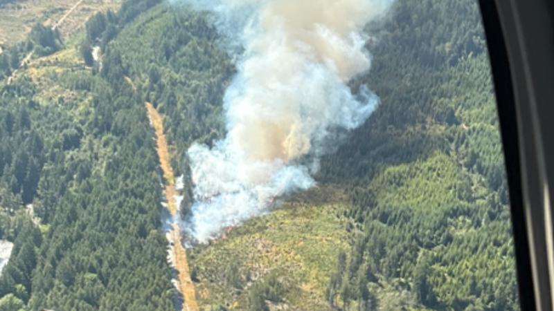 Crews battling wildfire along Nanaimo River, south of city | NanaimoNewsNOW