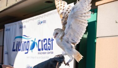 Dine with sharks, snakes at Living Coast's Farm to Bay in August