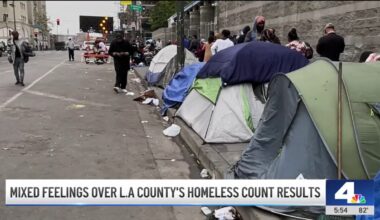 Results of LA County’s homeless count met with skepticism, disbelief – NBC Los Angeles