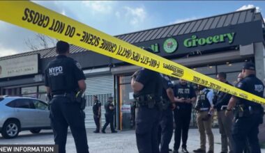 Arrest made in deadly stabbing of 16-year-old girl at Bronx deli – NBC New York