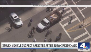 Stolen vehicle suspect arrested after slow-speed chase in LA County – NBC Los Angeles