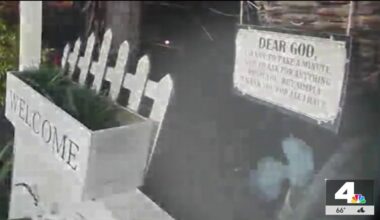 Aliens in Compton? Home security camera captures strange creature – NBC Los Angeles