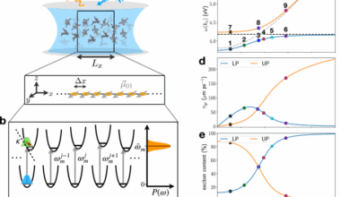 Quantum dynamics simulation of exciton-polariton transport