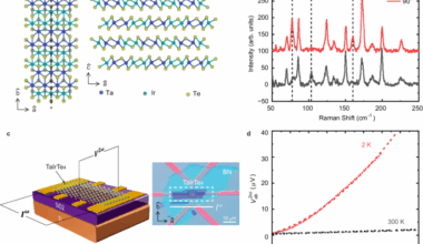 Probing interplay of topological properties and electron correlation in TaIrTe4 via nonlinear Hall effect