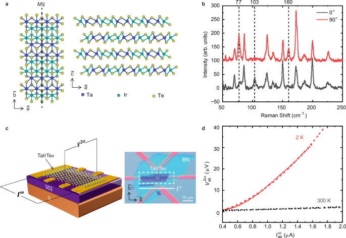 Probing interplay of topological properties and electron correlation in TaIrTe4 via nonlinear Hall effect