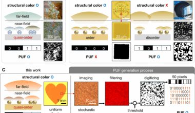 Quasi-ordered plasmonic metasurfaces with unclonable stochastic scattering for secure authentication