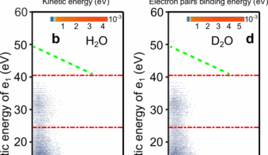Intermolecular Coulombic decay in liquid water competes with proton transfer and non-adiabatic relaxation
