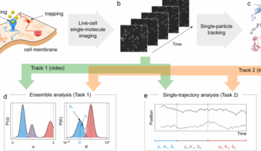 Quantitative evaluation of methods to analyze motion changes in single-particle experiments