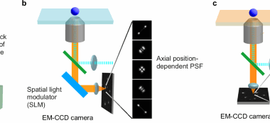 Long axial range 3D single-particle tracking using birefringent substrates