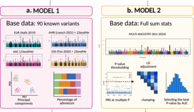 Insights into ancestral diversity in Parkinson’s disease risk: a comparative assessment of polygenic risk scores