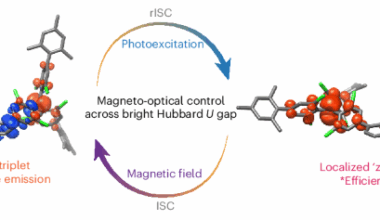 Bright triplet and bright charge-separated singlet excitons in organic diradicals enable optical read-out and writing of spin states