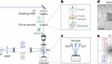 Wide-field spectroscopic imaging of optical activity