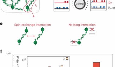 Quantum thermalization and Floquet engineering in a spin ensemble with a clock transition
