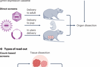 Methods and applications of in vivo CRISPR screening