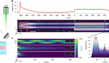 Energy–speed relationship of quantum particles challenges Bohmian mechanics