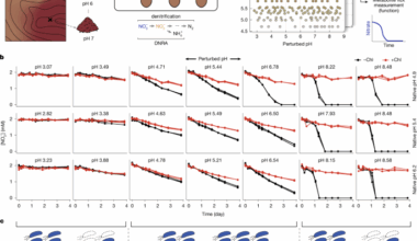 Functional regimes define soil microbiome response to environmental change