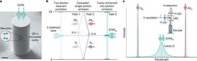 Quantum correlations of spontaneous two-photon emission from a quantum dot