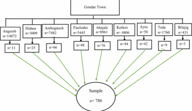 Self-Medication with NSAIDs in Gondar city: prevalence, predictors, and public health implications