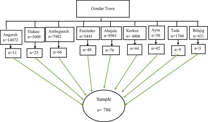 Self-Medication with NSAIDs in Gondar city: prevalence, predictors, and public health implications