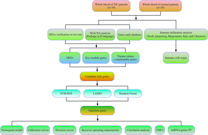 Integrated analysis of WGCNA and machine learning identified diagnostic biomarkers in trauma-induced coagulopathy