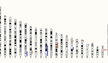 Genetic findings of children with congenital heart diseases using chromosomal microarray and trio-based whole exome sequencing
