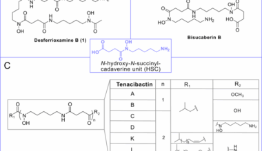 Genetic and biochemical insights into siderophore biosynthesis in the marine fish pathogen Tenacibaculum maritimum