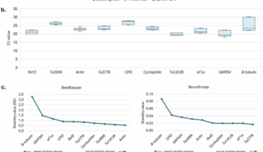 Validated reference genes for normalization of RT-qPCR in developing organs of wheat to study developmentally/spatio-temporally expressed family genes