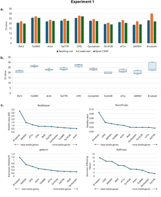 Validated reference genes for normalization of RT-qPCR in developing organs of wheat to study developmentally/spatio-temporally expressed family genes