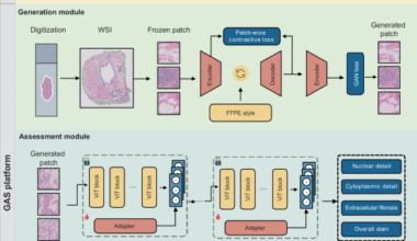 An end-to-end multifunctional AI platform for intraoperative diagnosis