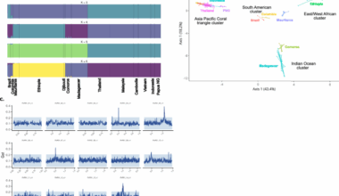 Genomic analysis of Plasmodium vivax field isolates circulating in sub-Saharan Africa