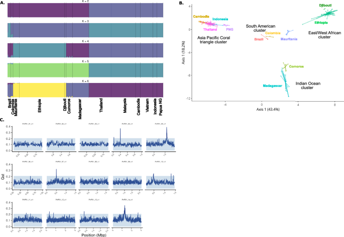 Genomic analysis of Plasmodium vivax field isolates circulating in sub-Saharan Africa