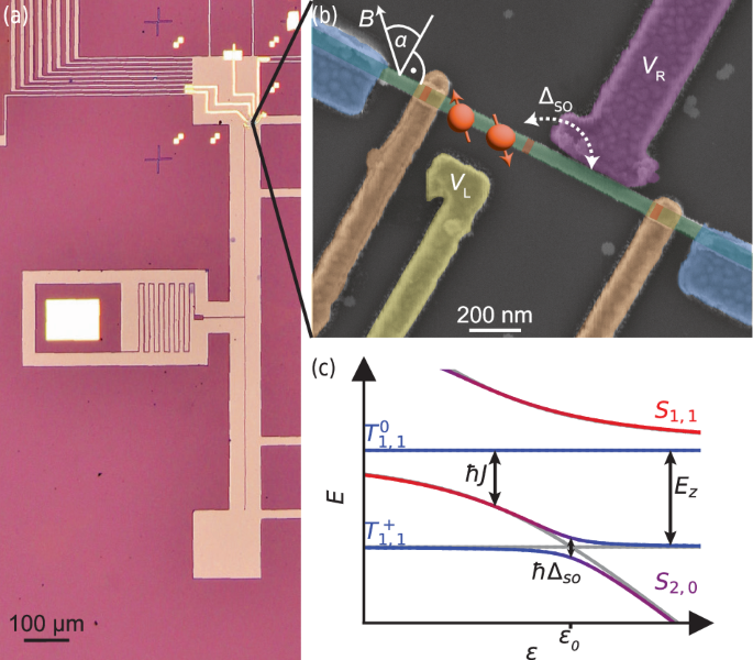 A dephasing sweet spot with enhanced dipolar coupling