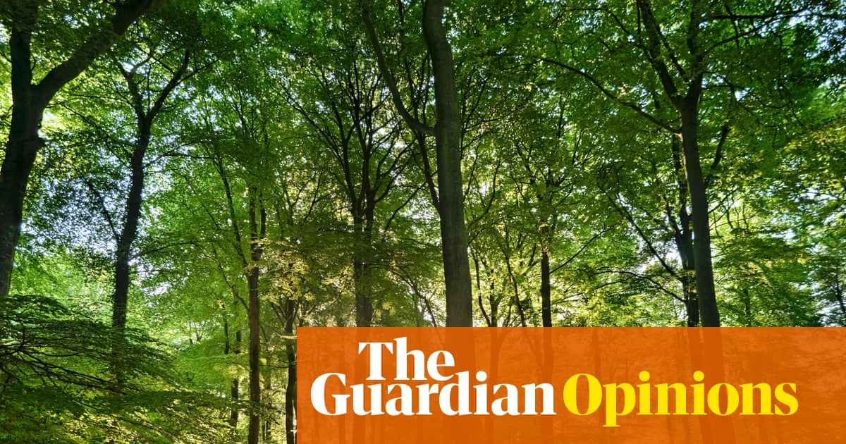 The Guardian view on the cultural life of trees: we must protect our natural heritage | Editorial