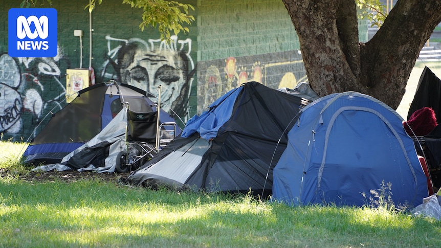 Homelessness under Albanese government 'worst in living memory', peak bodies warn